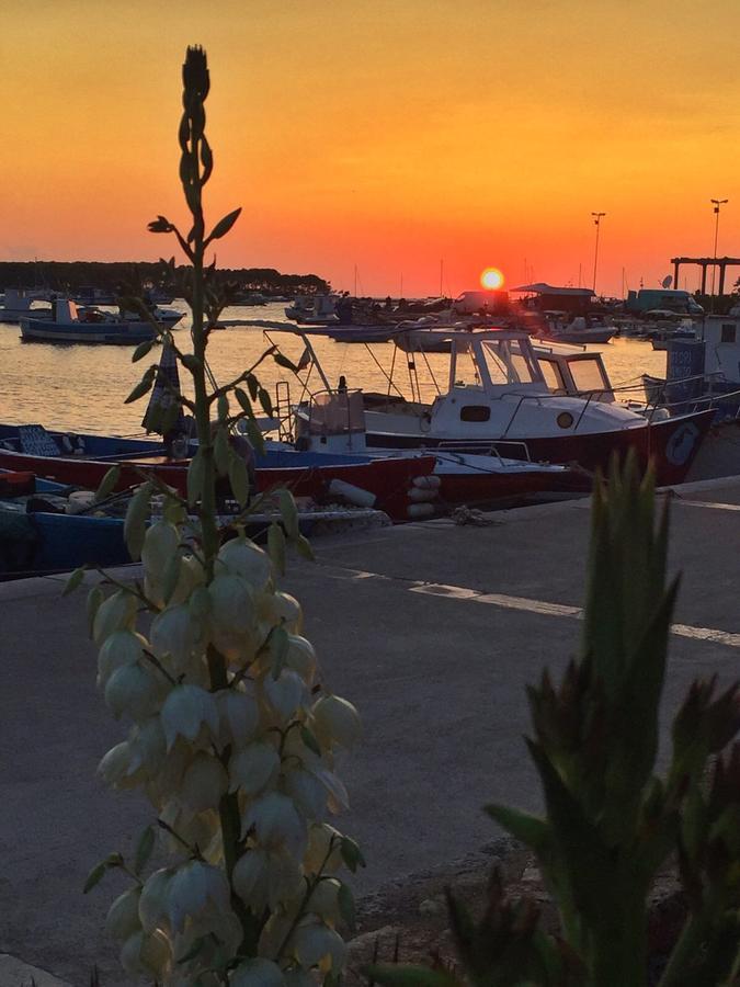 La Casa Di Ada E Gigi Vacanze Porto Cesareo Buitenkant foto